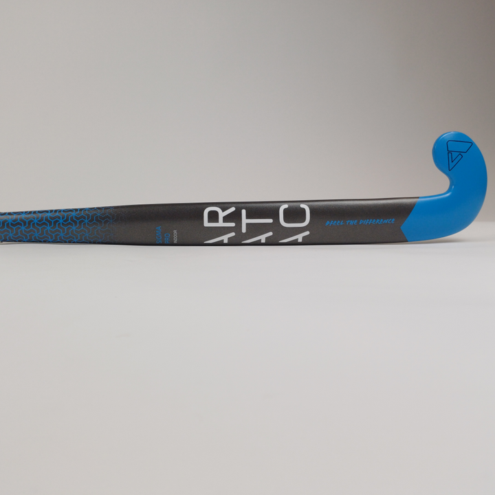Sigma Indoor 2024/2025
